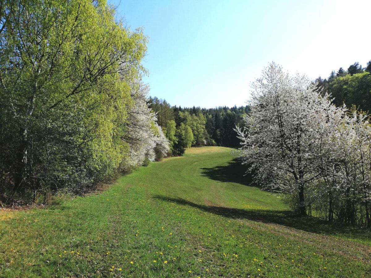 Ferienwohnung Wilhelm Springstille Buitenkant foto