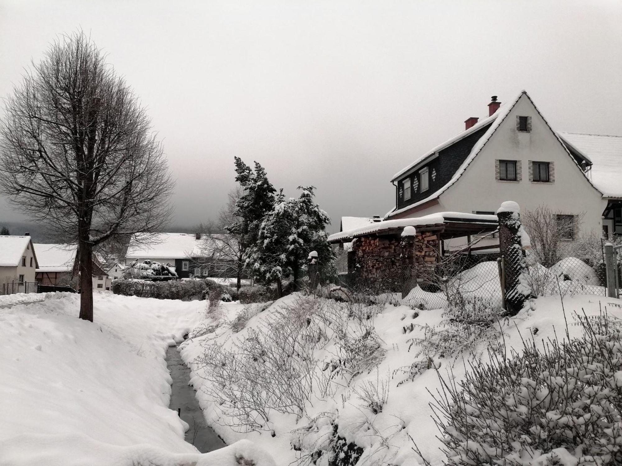 Ferienwohnung Wilhelm Springstille Buitenkant foto