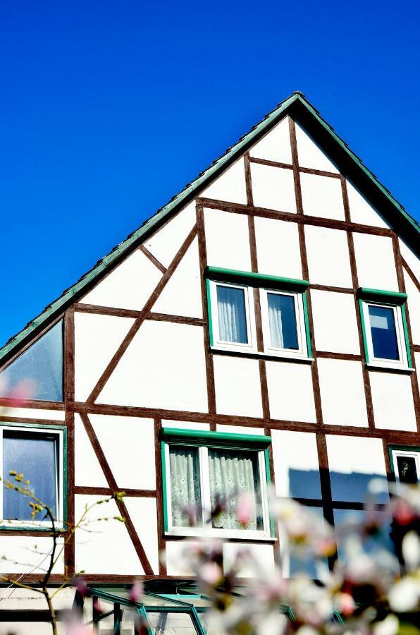 Ferienwohnung Wilhelm Springstille Buitenkant foto